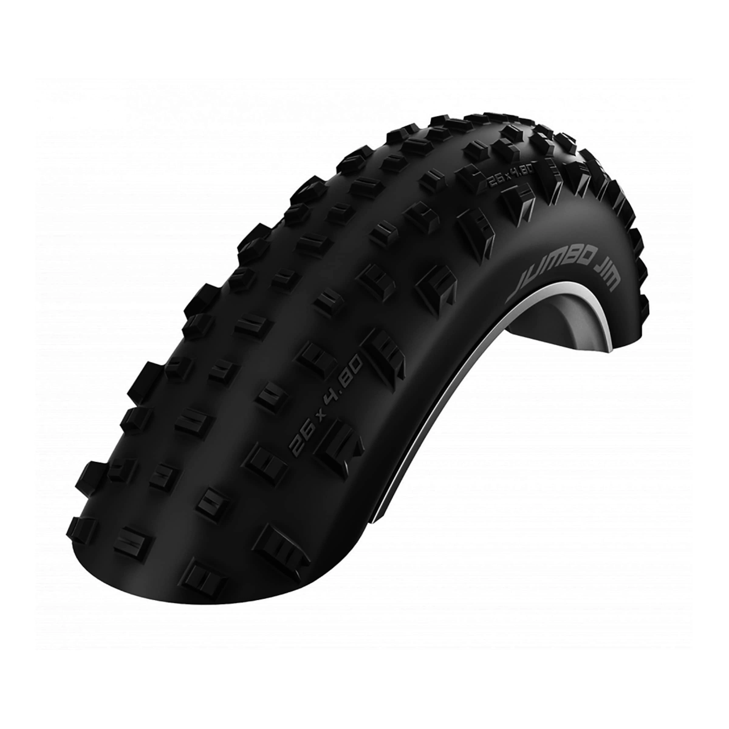 Schwalbe JUMBO JIM Performance Line ADDIX Pneu Fatbike 1 Schwalbe JUMBO JIM Performance Line ADDIX Pneu Fatbike